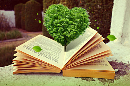 西南政法大學在職研究生招生專業 西南政法大學在職研究生招生專業