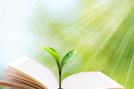 昆明理工大學MBA招生方式