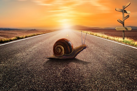 西安交通大學在職研究生招生信息 西安交通大學在職研究生招生信息