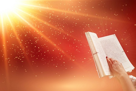 上海大學熱門招生專業有哪些? 上海大學熱門招生專業有哪些?