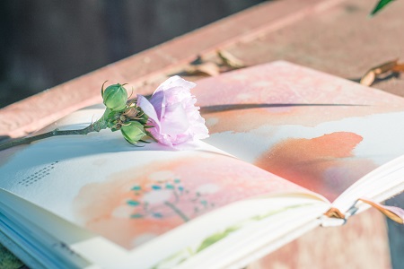 北京大學(xué)MPAcc招生條件 北京大學(xué)MPAcc招生條件