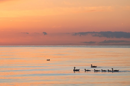 中國政法大學MBA招生類型有哪些? 中國政法大學MBA招生類型有哪些?