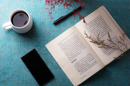 系統分析與集成在職研究生招生人群