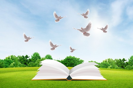 關于上海交通大學MEM專業招生人群有哪些？