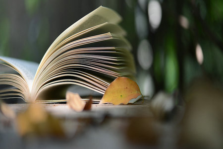 遼寧大學MBA專業招生情況 遼寧大學MBA專業招生情況