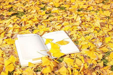 原來西南財經大學MPA是以這些人為招生對象的！