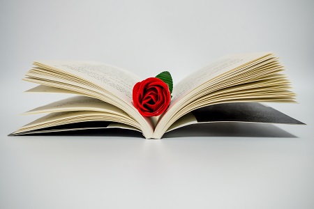 你了解嗎?廈門大學(xué)同等學(xué)力招生流程 你了解嗎?廈門大學(xué)同等學(xué)力招生流程