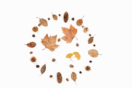 南昌大學(xué)專業(yè)碩士招生進(jìn)行中！