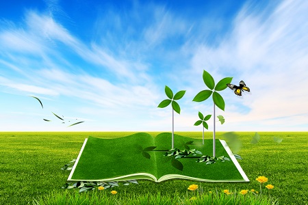 須知！山東大學MPAcc專業招生時間