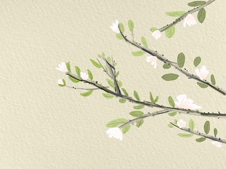 西南財經(jīng)大學MBA招生條件介紹! 西南財經(jīng)大學MBA招生條件介紹!