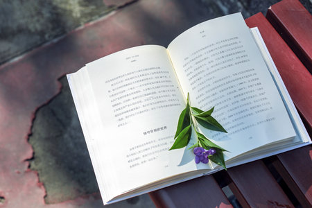 美國加利福尼亞州立大學DBA招生條件 美國加利福尼亞州立大學DBA招生條件