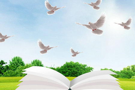 比利時(shí)列日大學(xué)國際碩士招生專業(yè)