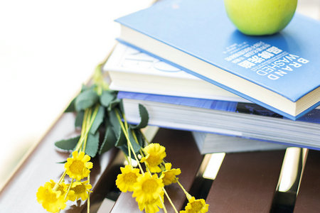 法國ILCI高等商學院MBA招生信息 法國ILCI高等商學院MBA招生信息