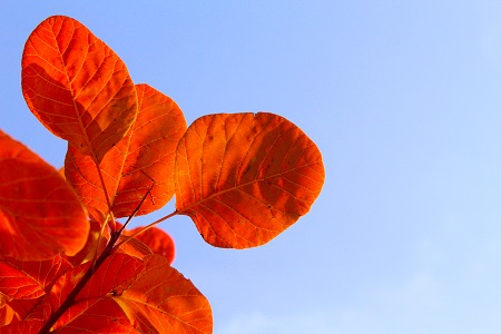 西南財經(jīng)大學在職研究生熱門招生專業(yè)推薦！