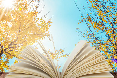 法國蒙彼利埃大學國際博士PHD招生流程