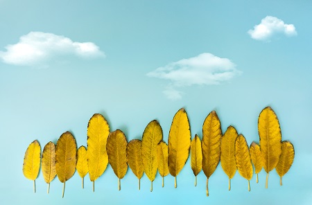 上海對外經貿大學在職研究生學招生動態