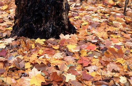 武漢工程大學(xué)非全日制研究生MBA專(zhuān)業(yè)正在招生中! 武漢工程大學(xué)非全日制研究生MBA專(zhuān)業(yè)正在招生中!