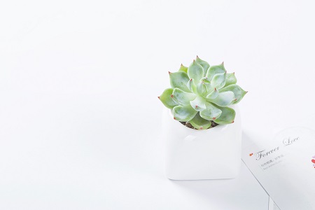 專業推薦！中國科學院心理研究所在職研究生熱門招生專業