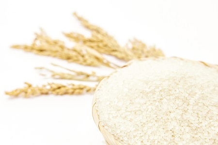 招生進行中！西南大學非全日制研究生招生詳情