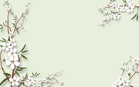 深圳大學在職研究生熱門招生專業推薦！