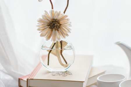 民族傳統體育學在職研究生招生人群