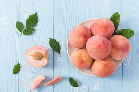 時間安排!江西師范大學MPAcc招生時間介紹 時間安排!江西師范大學MPAcc招生時間介紹