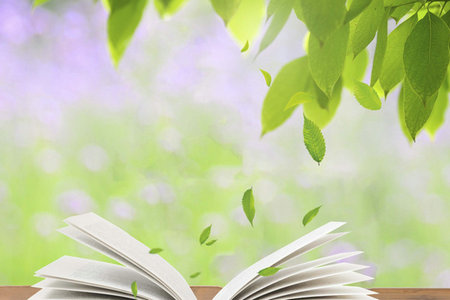 西南科技大學(xué)金融專碩招生條件