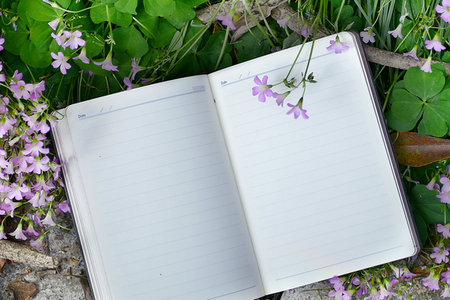 山東建筑大學在職研究生風景園林（MLA）碩士招生信息