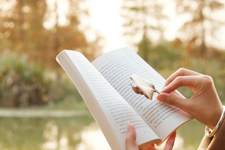 中央民族大學MPAcc招生流程