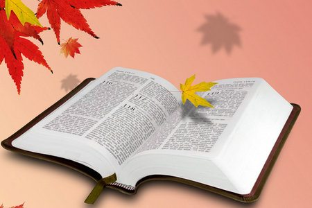 化學工程與技術在職研究生招生院校