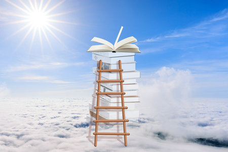 浙江農林大學MPAcc招生類型