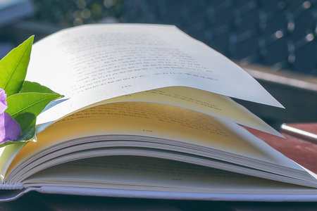 河南財經政法大學MPAcc招生人群