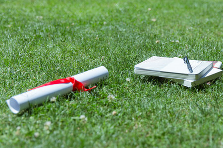 西班牙內布里哈大學EMBA招生人群