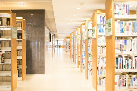 菲律賓凱迪雷拉大學國際博士招生專業 菲律賓凱迪雷拉大學國際博士招生專業