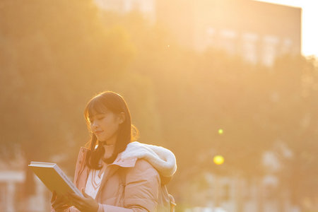 美國亞利桑那大學國際博士招生專業目錄