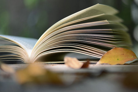 山東大學(xué)國(guó)際貿(mào)易學(xué)在職研究生招生信息 山東大學(xué)國(guó)際貿(mào)易學(xué)在職研究生招生信息