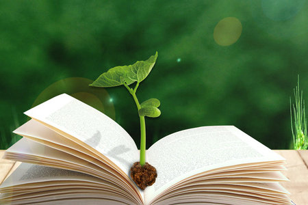 中國(guó)地質(zhì)大學(xué)(北京)同等學(xué)力申碩招生簡(jiǎn)章