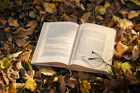 馬來西亞科技大學(xué)國際博士招生條件