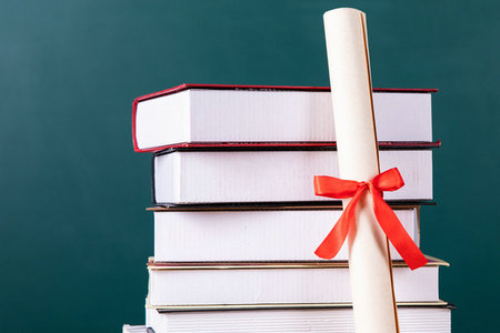 馬來西亞萊佛士大學國際碩士招生人群