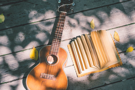 馬來(lái)西亞林肯大學(xué)學(xué)院國(guó)際博士招生流程