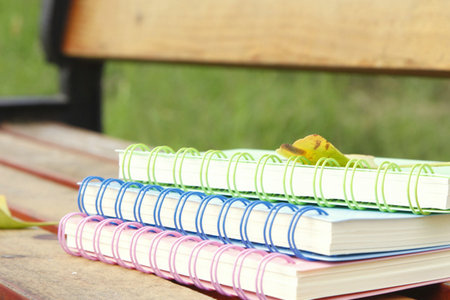 俄羅斯圣彼得堡國立工業技術與設計大學國際碩士招生對象