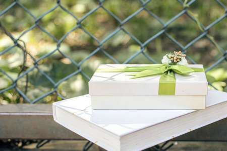 美國菲利普斯研究大學招生類型