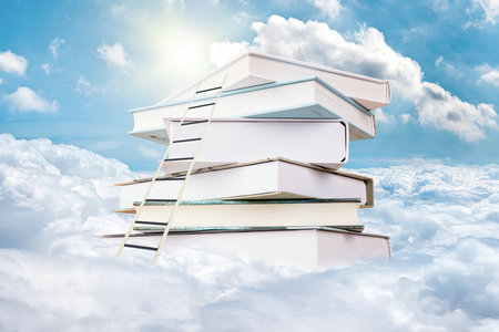 胡安卡洛斯國(guó)王大學(xué)國(guó)際博士招生專業(yè) 胡安卡洛斯國(guó)王大學(xué)國(guó)際博士招生專業(yè)