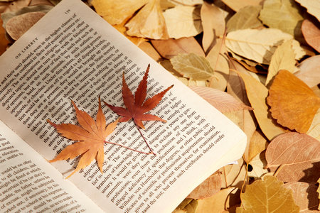 集美大學(xué)在職研究生小學(xué)教育專業(yè)招生條件