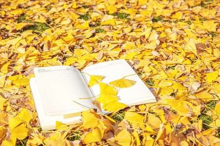 英國華威大學招生條件