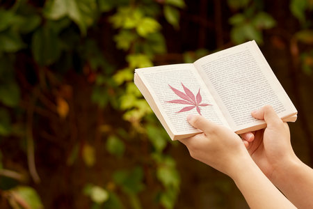 北京師范大學高級研修班招生條件