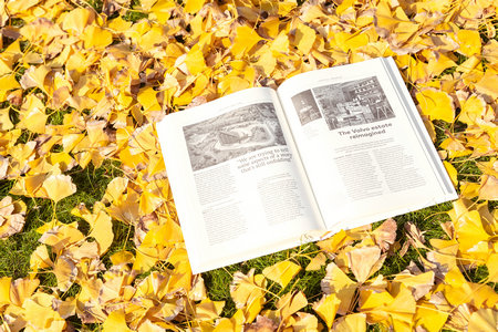 中央蘭開夏大學國際博士招生專業目錄一覽表