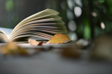 上海財經(jīng)大學(xué)MF招生簡章2025匯總！