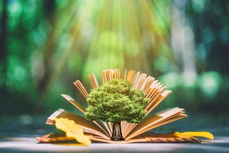 須知！經濟學在職研究生招生條件+招生院校+學制學費