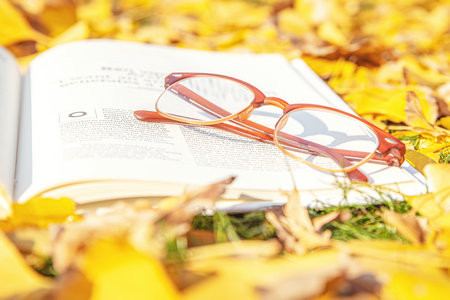 發展與教育心理學在職博士招生簡章2025